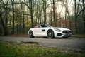 Mercedes-Benz AMG GT Roadster 50 Jahre Edition / 1/500 Wit - thumbnail 26