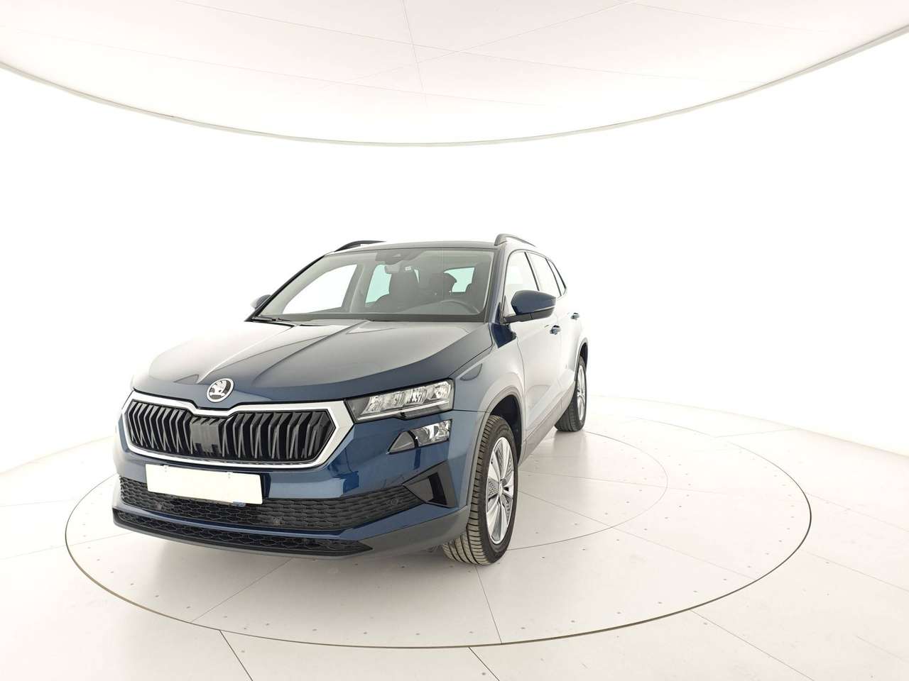 Skoda Karoq Karoq 2.0 tdi evo Executive 115cv dsg