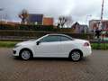 Renault Megane Coupé-Cabriolet 1.2 TCe Privilège parelmoer wit ai Weiß - thumbnail 5
