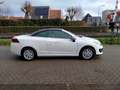 Renault Megane Coupé-Cabriolet 1.2 TCe Privilège parelmoer wit ai Weiß - thumbnail 6