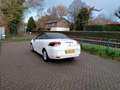 Renault Megane Coupé-Cabriolet 1.2 TCe Privilège parelmoer wit ai Weiß - thumbnail 10