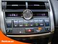 Lexus NX 300h Executive 4WD Tecno + Navibox - 5 P (2014) Grau - thumbnail 22