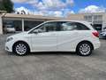 Mercedes-Benz B 180 B 180 cdi Premium - thumbnail 3