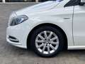 Mercedes-Benz B 180 B 180 cdi Premium - thumbnail 2