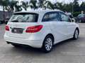 Mercedes-Benz B 180 B 180 cdi Premium - thumbnail 10