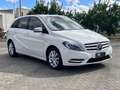 Mercedes-Benz B 180 B 180 cdi Premium - thumbnail 9
