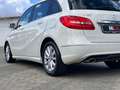 Mercedes-Benz B 180 B 180 cdi Premium - thumbnail 5
