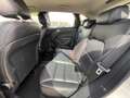 Mercedes-Benz B 180 B 180 cdi Premium - thumbnail 12