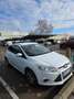 Ford Focus 1.0 Ecoboost Auto-S&S Trend Weiß - thumbnail 2