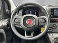 Fiat Panda 1.0 Mild Hybrid/PDC/Start&Stopp/Nebelscheinwerfer Weiß - thumbnail 10