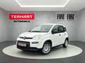 Fiat Panda 1.0 Mild Hybrid/PDC/Start&Stopp/Nebelscheinwerfer Weiß - thumbnail 1