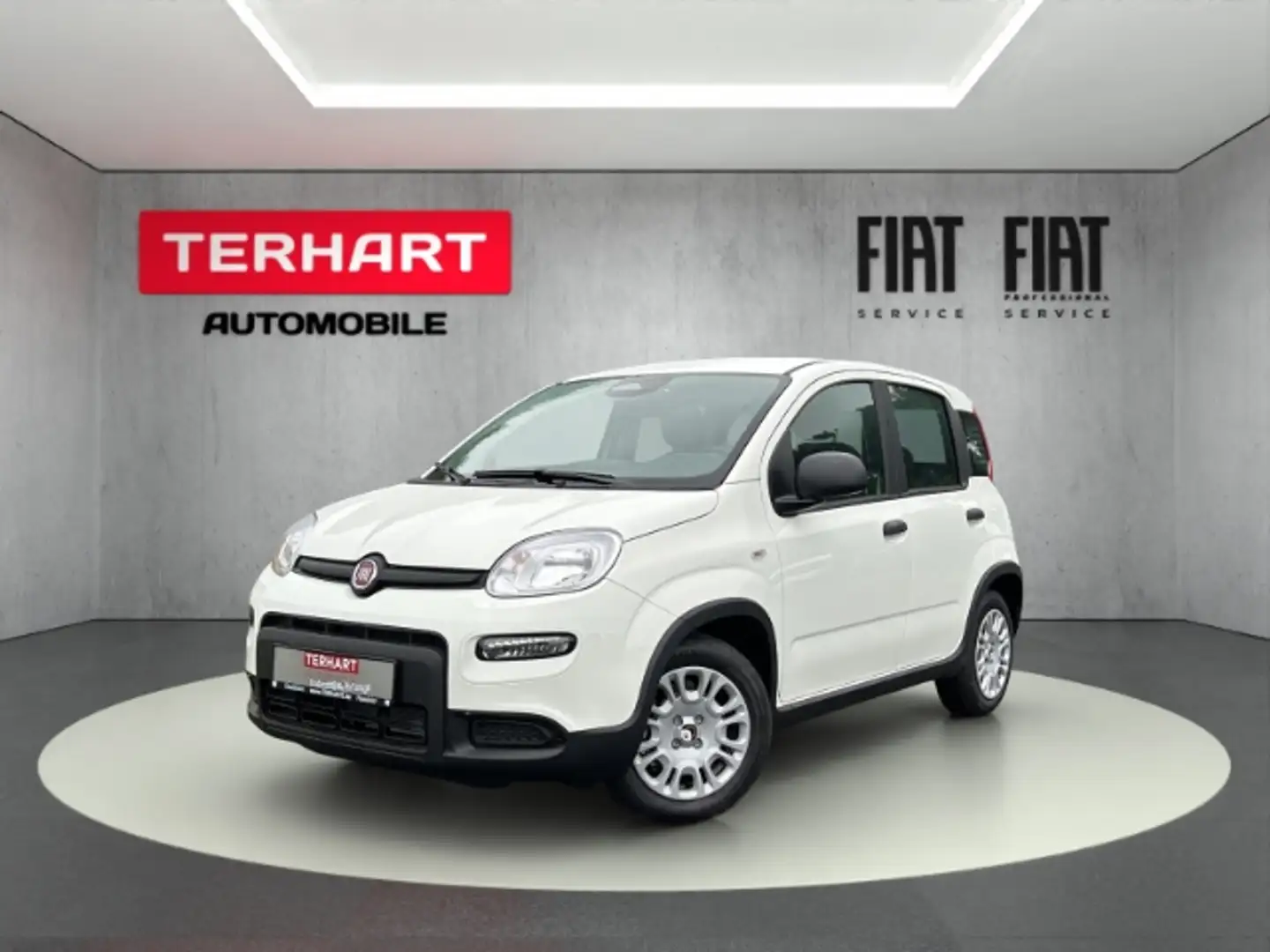 Fiat Panda 1.0 Mild Hybrid/PDC/Start&Stopp/Nebelscheinwerfer Weiß - 1