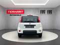 Fiat Panda 1.0 Mild Hybrid/PDC/Start&Stopp/Nebelscheinwerfer Weiß - thumbnail 4