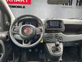 Fiat Panda 1.0 Mild Hybrid/PDC/Start&Stopp/Nebelscheinwerfer Weiß - thumbnail 9