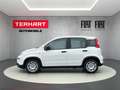 Fiat Panda 1.0 Mild Hybrid/PDC/Start&Stopp/Nebelscheinwerfer Weiß - thumbnail 2