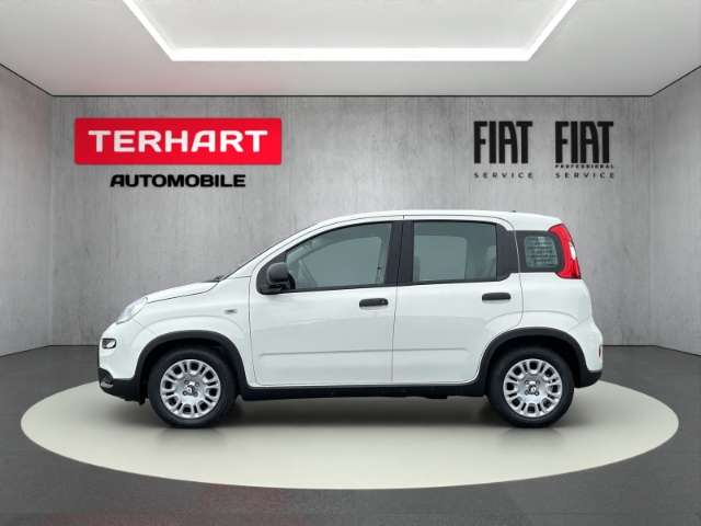 Fiat Panda 1.0 Mild Hybrid/PDC/Start&Stopp/Nebelscheinwerfer