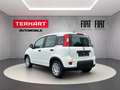 Fiat Panda 1.0 Mild Hybrid/PDC/Start&Stopp/Nebelscheinwerfer Weiß - thumbnail 3