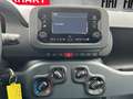 Fiat Panda 1.0 Mild Hybrid/PDC/Start&Stopp/Nebelscheinwerfer Weiß - thumbnail 14