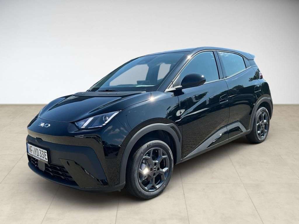 BYD Dolphin Surf occasion