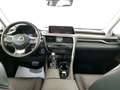 Lexus RX 450h 450h 3.5 Executive 263cv cvt Blu/Azzurro - thumbnail 10