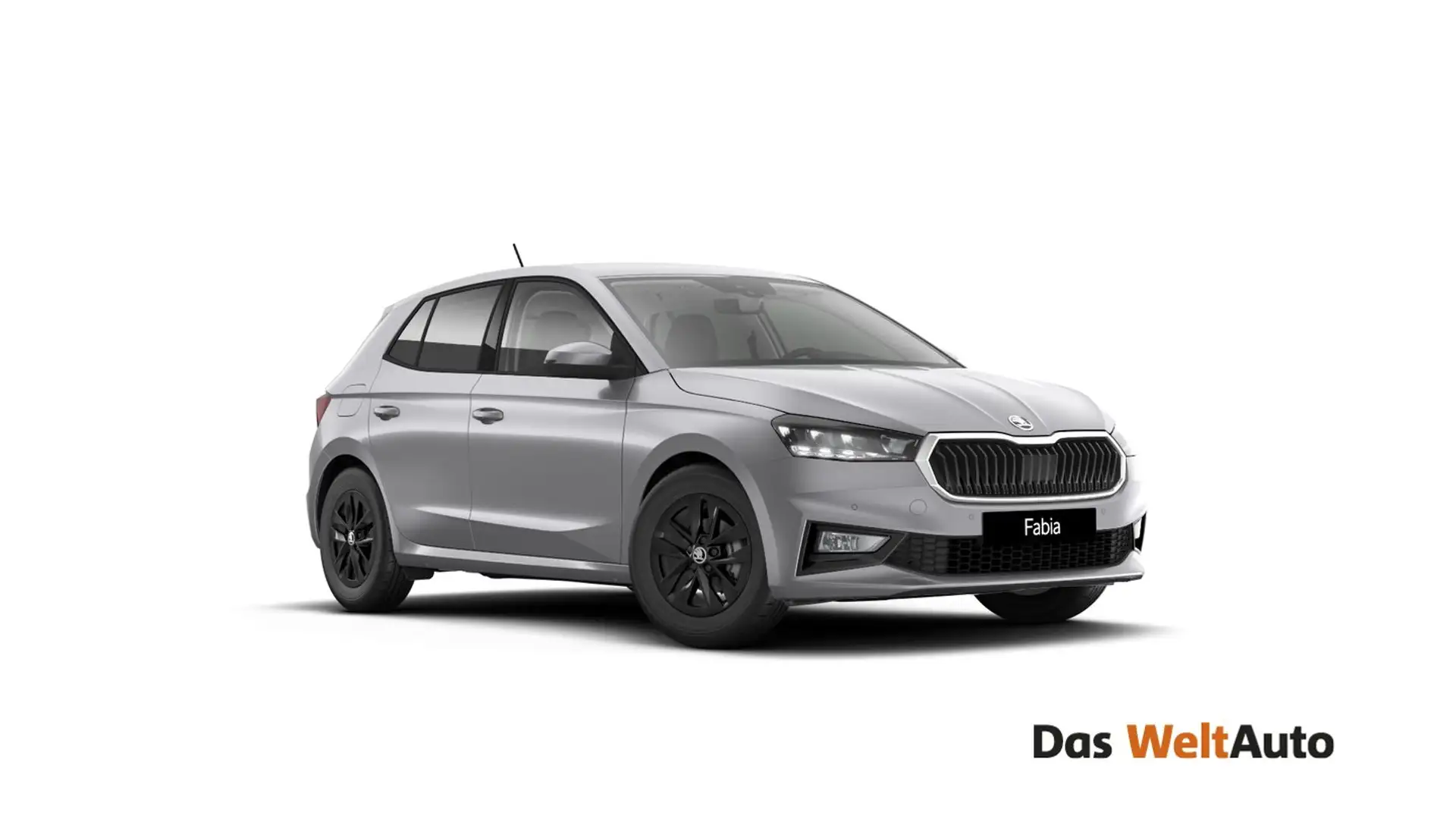 Skoda Fabia Selection TSI Argent - 1
