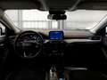Ford Focus WAGON 1.5 Ecoblue 120cv Business Co-Pilot Auto - thumbnail 7