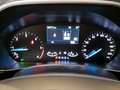 Ford Focus WAGON 1.5 Ecoblue 120cv Business Co-Pilot Auto - thumbnail 8