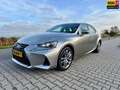 Lexus IS 300 300h Hybrid Business Line, Leder, Camera, PDC, Nav Grijs - thumbnail 1