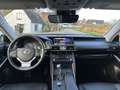 Lexus IS 300 300h Hybrid Business Line, Leder, Camera, PDC, Nav Grijs - thumbnail 13