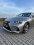Lexus IS 300 300h Hybrid Business Line, Leder, Camera, PDC, Nav Grijs - thumbnail 5