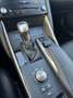 Lexus IS 300 300h Hybrid Business Line, Leder, Camera, PDC, Nav Grijs - thumbnail 19