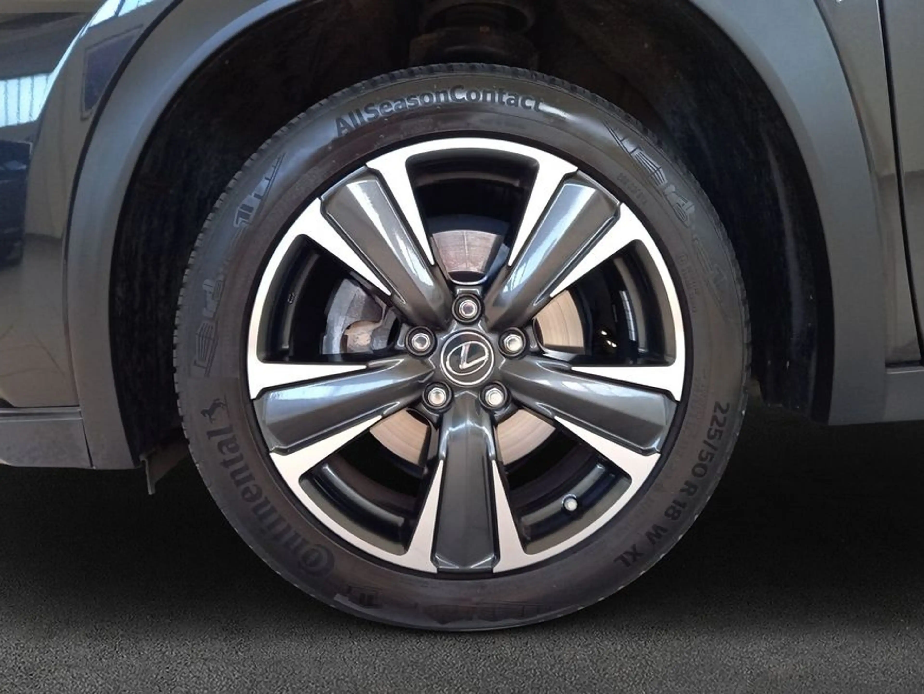 Lexus UX 250h 250h Style Edition — photo 7