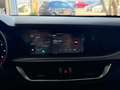 Alfa Romeo Stelvio 2.2 Turbodiesel 160 CV AT8 RWD Sprint Gris - thumbnail 17