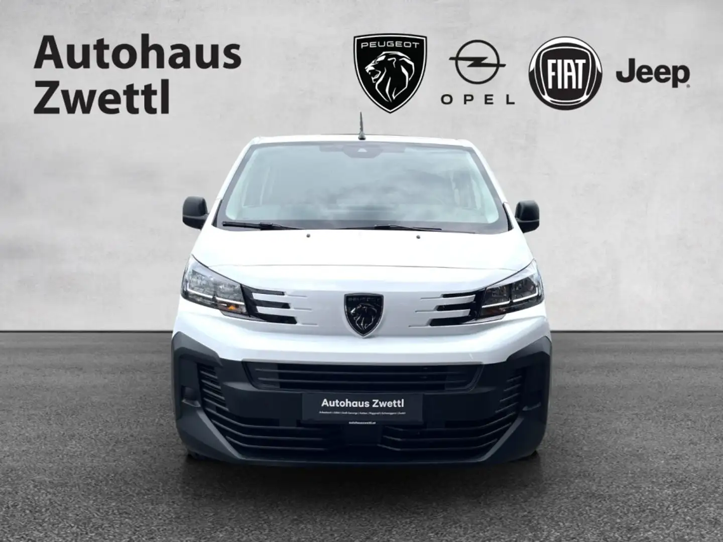 Peugeot Expert DK verschieb. Trennwand BHDI 145 Alb - 2