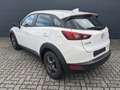 Mazda CX-3 2.0l Prime-Line Klima PDC Blanc - thumbnail 6