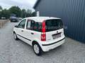 Fiat Panda 1.1 8V Active TÜV&AU Neu, Servo,CD Weiß - thumbnail 7
