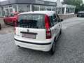 Fiat Panda 1.1 8V Active TÜV&AU Neu, Servo,CD Weiß - thumbnail 5