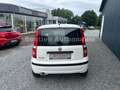 Fiat Panda 1.1 8V Active TÜV&AU Neu, Servo,CD Weiß - thumbnail 6