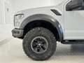 Ford F 150 Raptor Alb - thumbnail 12