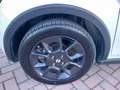 Suzuki Ignis Ignis III 2017 1.2 dualjet iTop 4wd allgrip Blanco - thumbnail 26