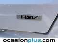 Kia Sorento 1.6 T-GDi HEV Plus Edition 4x2 Bianco - thumbnail 5