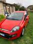 Fiat Punto Evo 5p 1.2 Dynamic s&s Rosso - thumbnail 1