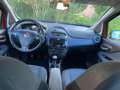 Fiat Punto Evo 5p 1.2 Dynamic s&s Rosso - thumbnail 6