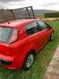Fiat Punto Evo 5p 1.2 Dynamic s&s Rosso - thumbnail 2