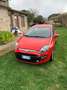 Fiat Punto Evo 5p 1.2 Dynamic s&s Rosso - thumbnail 4