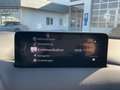 Mazda CX-5 2.0 165PS GS AD'VANTAGE 360 HUD NAVI Schwarz - thumbnail 12