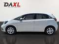 Honda Jazz 1,5 i-MMD Hybrid Comfort Aut. Weiß - thumbnail 8