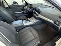 BMW 318 Touring 318i Touring Business Advantage auto Bianco - thumbnail 9
