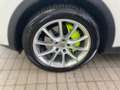 Porsche Cayenne E-Hybrid PHEV Weiß - thumbnail 5