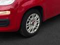 Fiat Panda 1.2 My Panda Rot - thumbnail 10